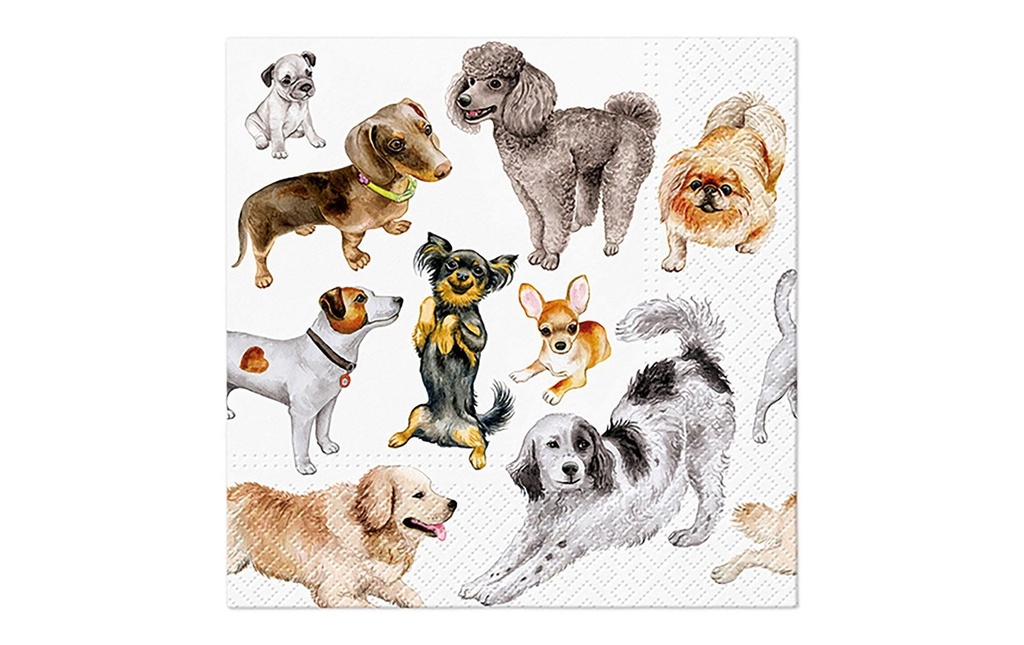 G. Wurm Serviettes en papier Chiens 33 cm x 33 cm, 20 Pièce/s