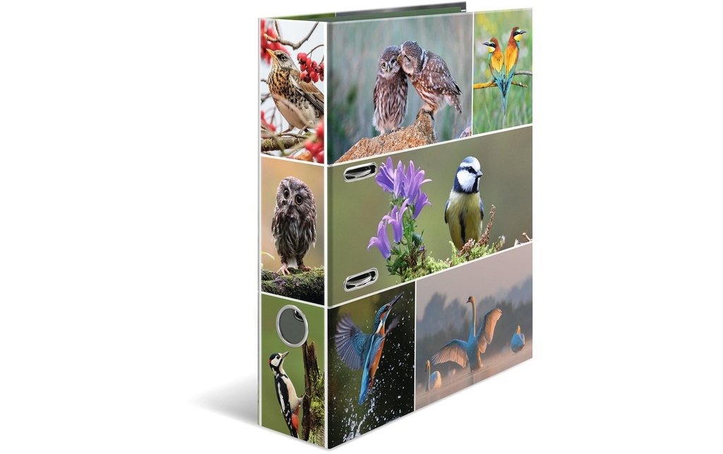 HERMA Classeur A4 70mm oiseaux du pa