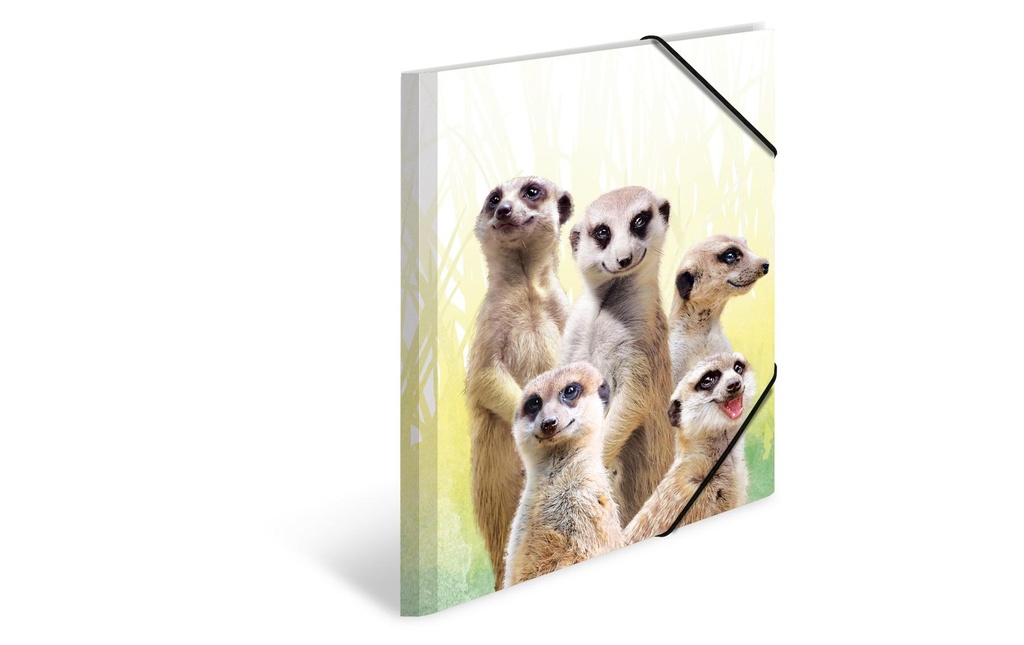 HERMA Dossier élast.A4 PP suricate