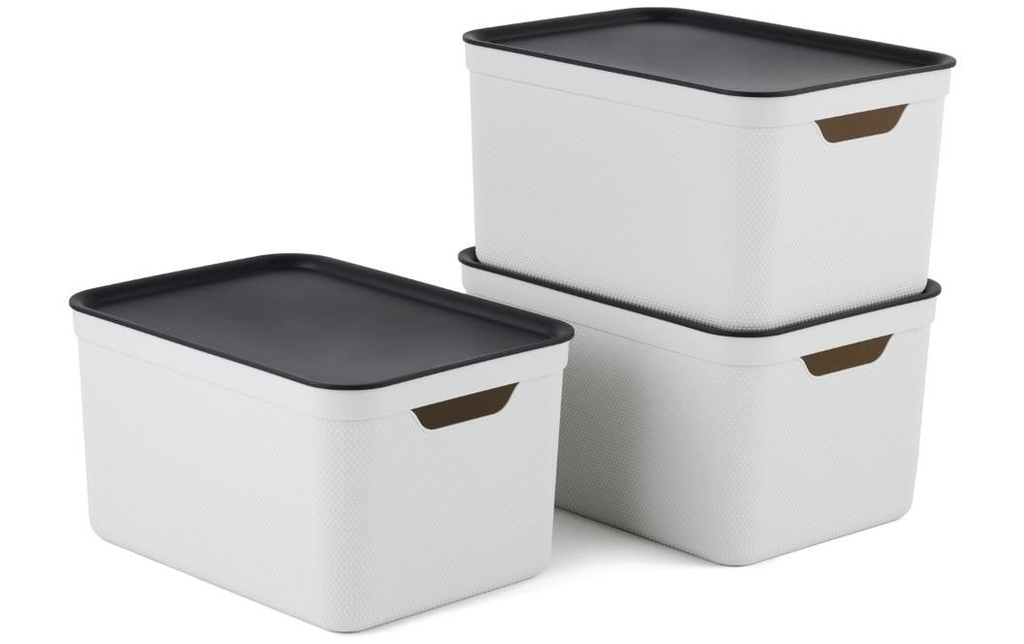 Rotho Boîte de rangement A4 Jive 3 pièces, Blanc