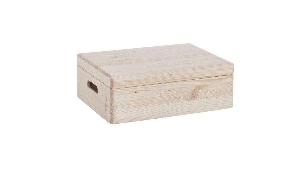 Zeller Present Caisse de rangement avec couvercle 40 x 14 cm, Nature