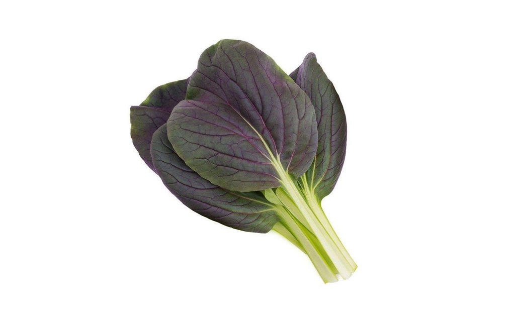 Click and Grow Semence Pak Choi Rouge