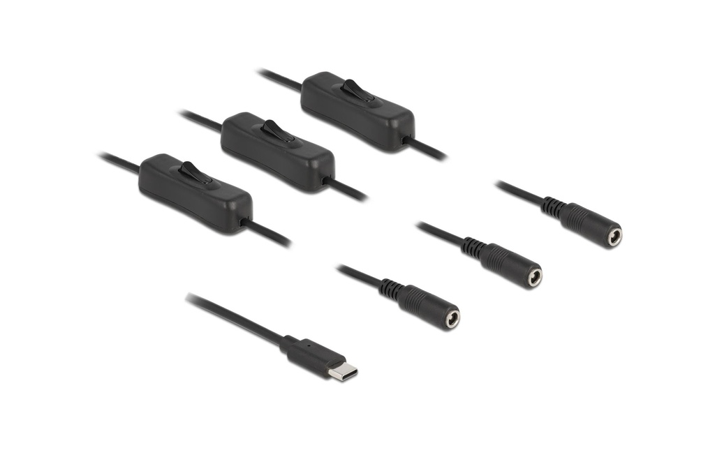 Delock Connecteur à fiche creuse Câble USB Type-C à 3 x DC avec interrupteur, 1 m