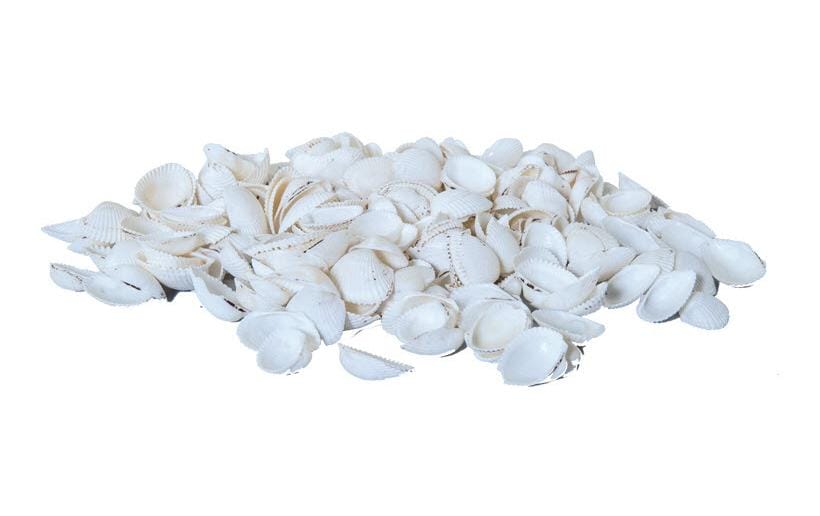 Dekomat AG Moules, 300 g Blanc