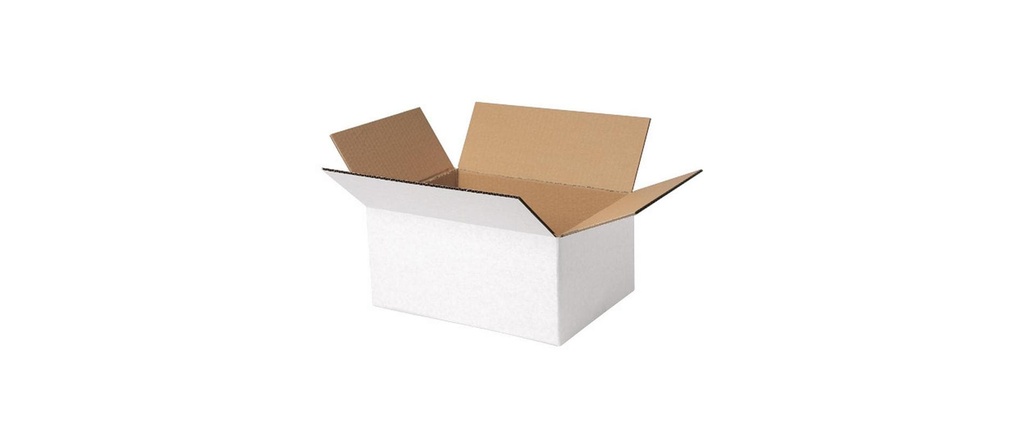 Brieger Carton d’expédition 30.5 x 21.6 x 14 cm, 1 pièce