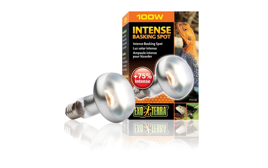 Exo Terra Lampe pour terrarium Intense Basking Spot E27, R25/100W