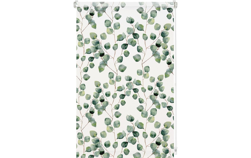 Gardinia Store à enroulement EF Isabella 70 x 150 cm, Vert/Blanc