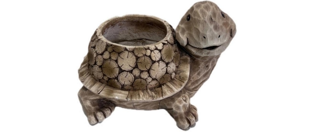 Colibri Pot de fleur Tortue Brun clair