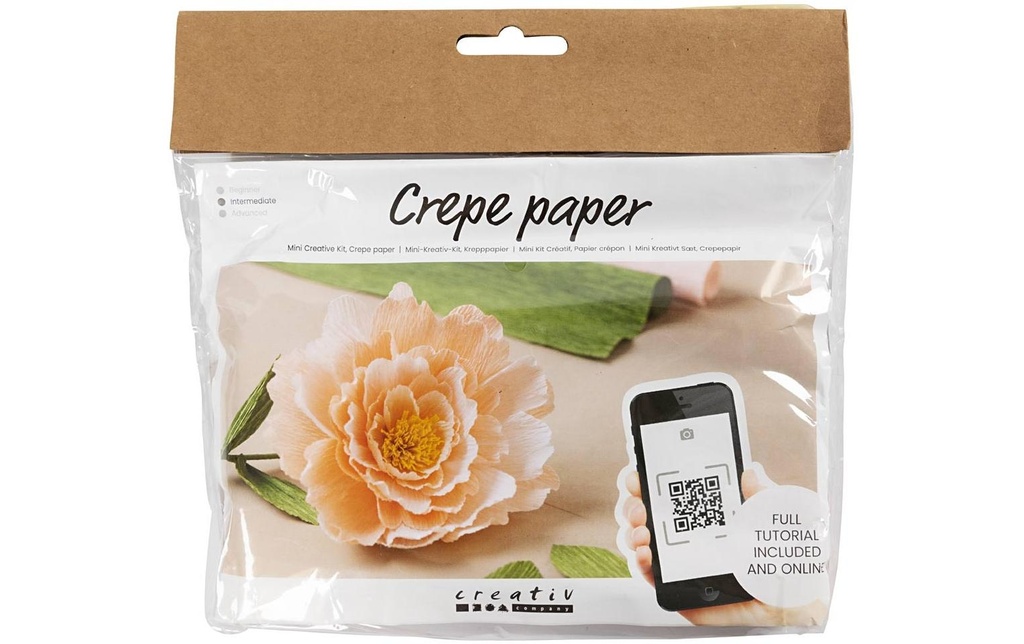 Creativ Company Kits de bricolage Set de papier crépon Pivoine
