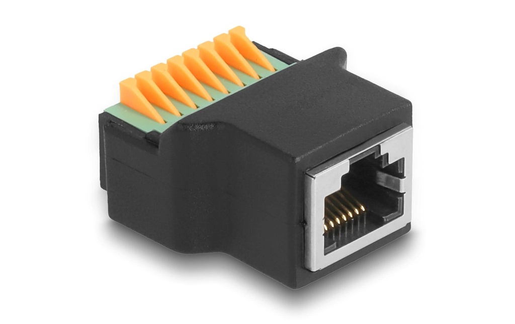 Delock Douille RJ45 vers bloc terminal, 1 Pièce/s
