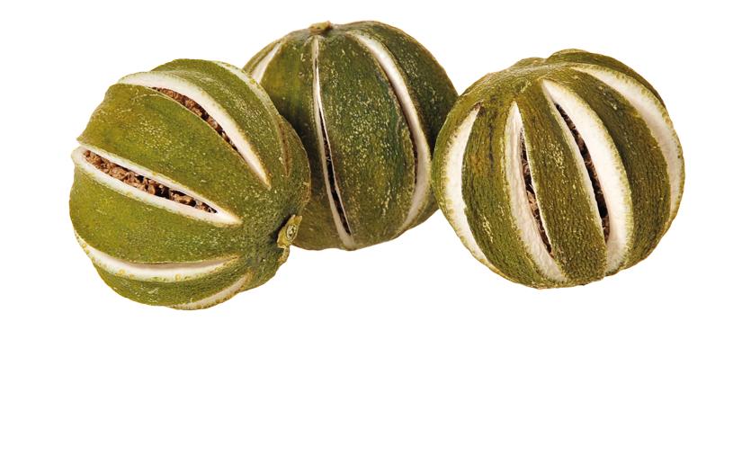 Opiflor Déco Citrons verts séchés 250 g