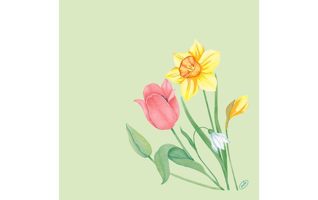 Duni Serviettes en papier Spring Melody 40 cm x 40 cm, 60 Pièce/s
