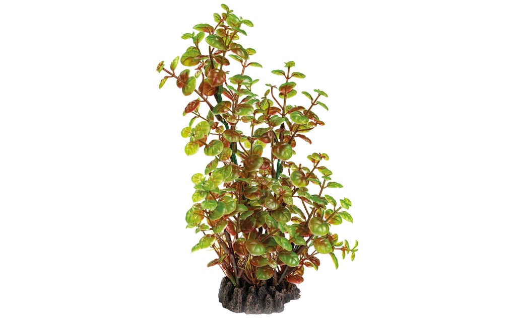 SuperFish Plante artificielle Rotala, 25 cm