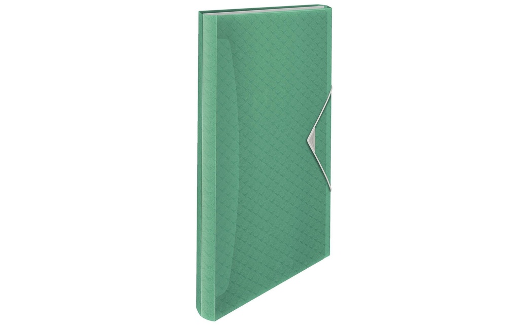 Esselte Classeur à soufflet COLOUR‘ICE Vert