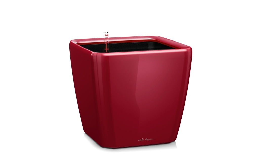 Lechuza Pot à fleur Quadro Premium 21 LS Rouge