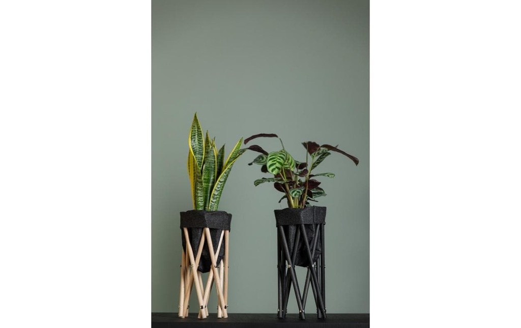 Neogard AG Trépied pour plantes Seda 30, Nature
