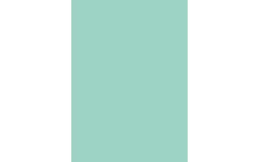 d-c-fix Film design Uni Laque Menthe