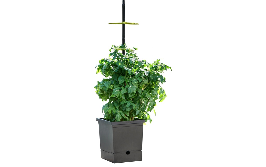 Romberg Pot de tomates avec arrosage automatique avec support flexible pour plantes grimpantes
