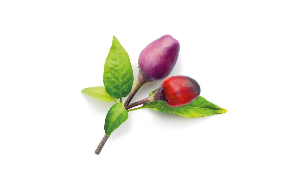 Click and Grow Semence Recharge de 3 piments violets