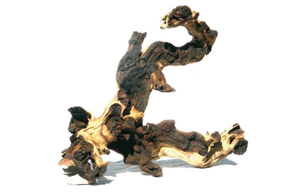 AMAZONAS Décoration Mopani Bois L, 35-50 cm