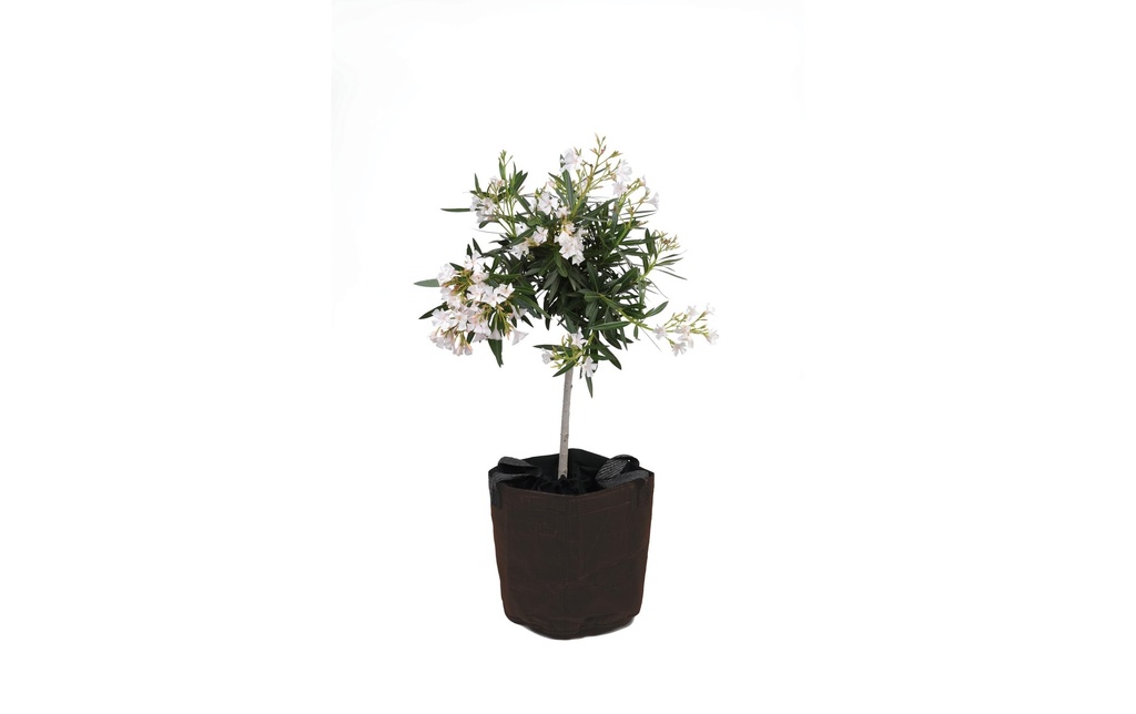 Colibri Pot de protection contre le gel Ø 35 x 40 cm, brun