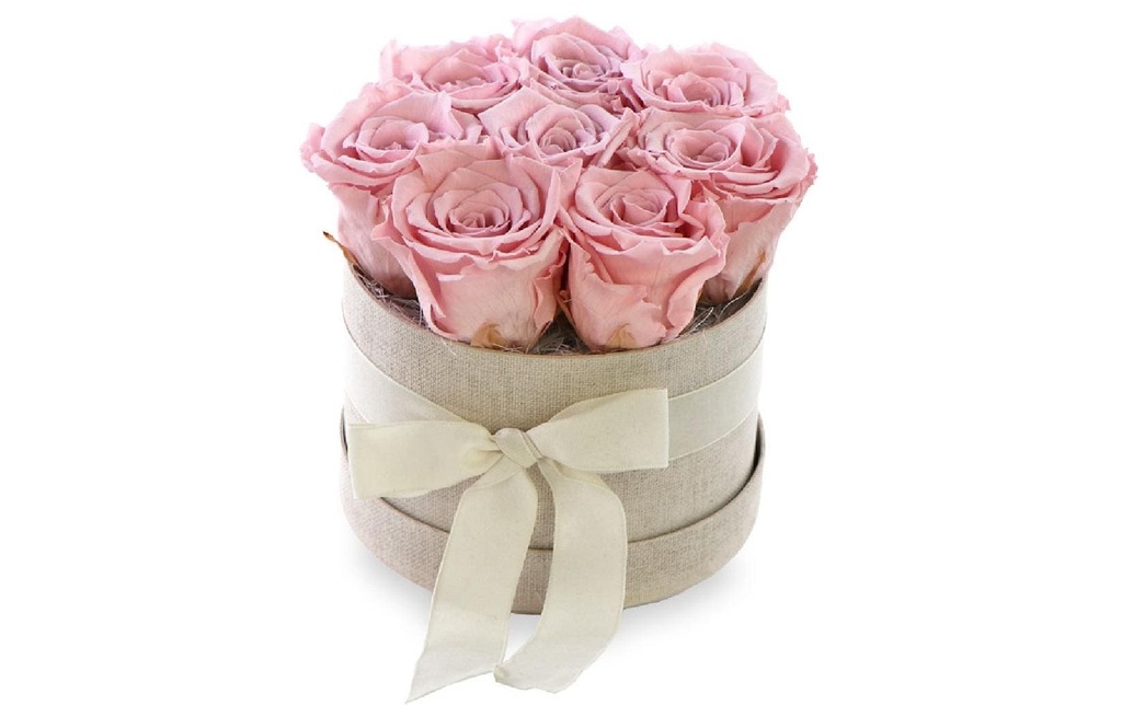 Soli Collection Fleurs séchées Roses 8 pièces, rose