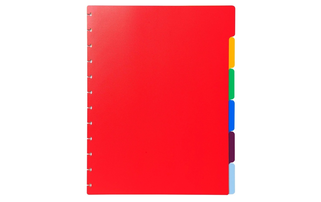 EXACOMPTA Registre A4+ 6sép assorti