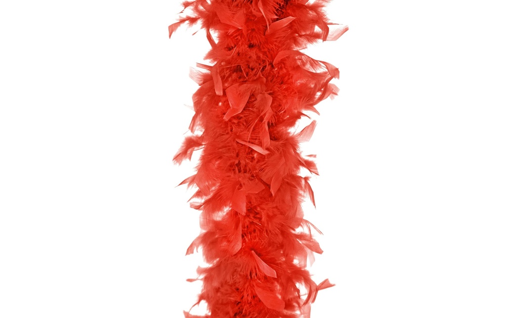 Partydeco Accessoires de fête Boa Rouge