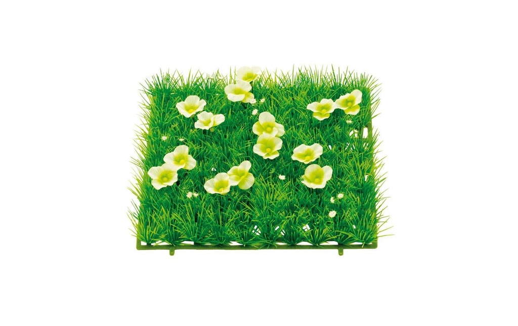 Dekomat AG Plaque d'herbe Bouton d'or 25 x 25 cm
