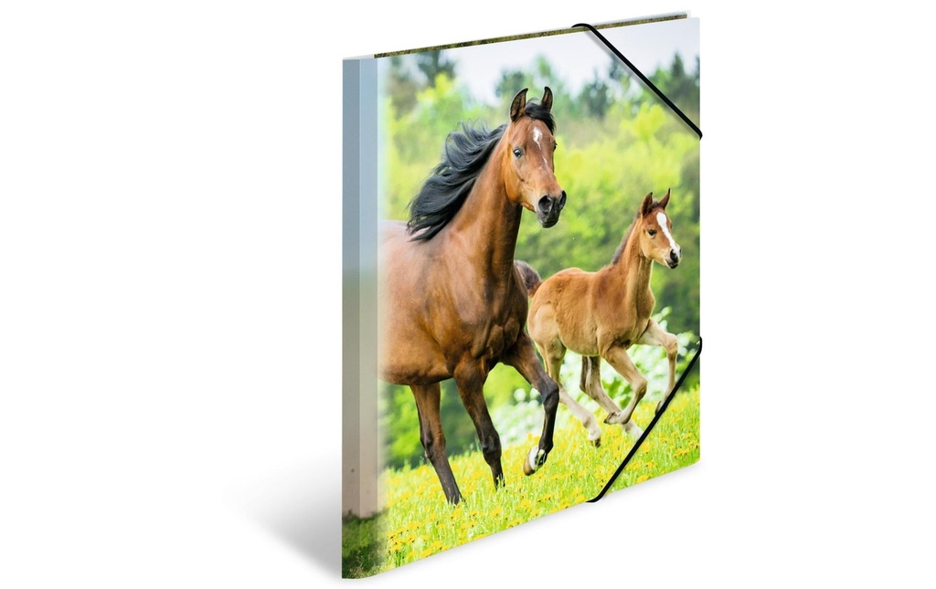 HERMA Portfolio à ruban élastique A4 Chevaux, polypropylène, avec impression intérieure