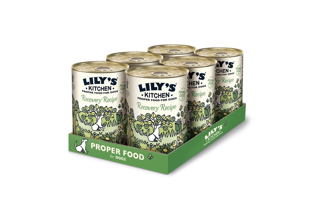 Lily's Kitchen Alimentation humide Recovery Recipe, 6 x 400 g