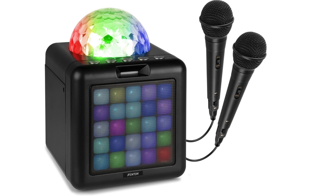 Fenton Haut-parleurs KAR15B avec 2 microphones