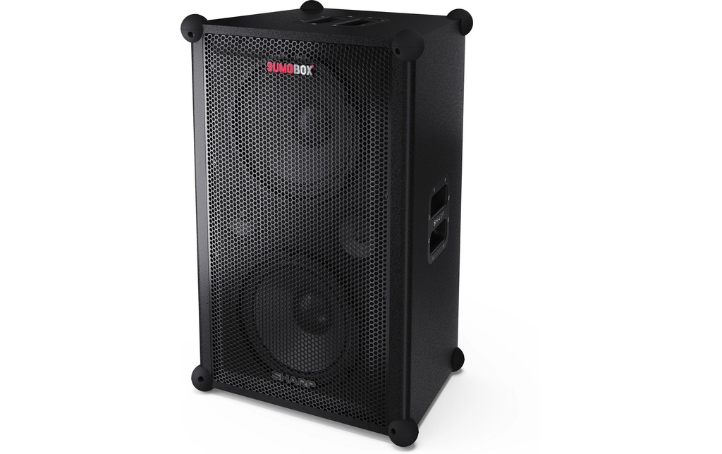Sharp Haut-parleur Bluetooth CPLS200 8h de batterie