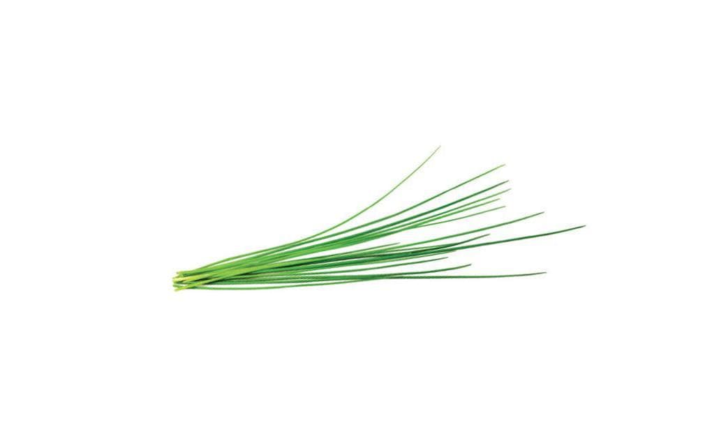 Click and Grow Semence ciboulette