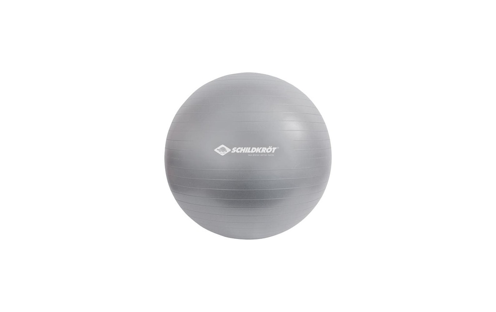 Schildkröt Fitness Ballon de gymnastique 55 cm