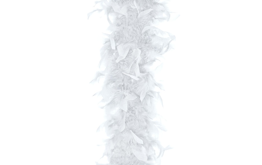 Partydeco Accessoires de fête Boa Blanc