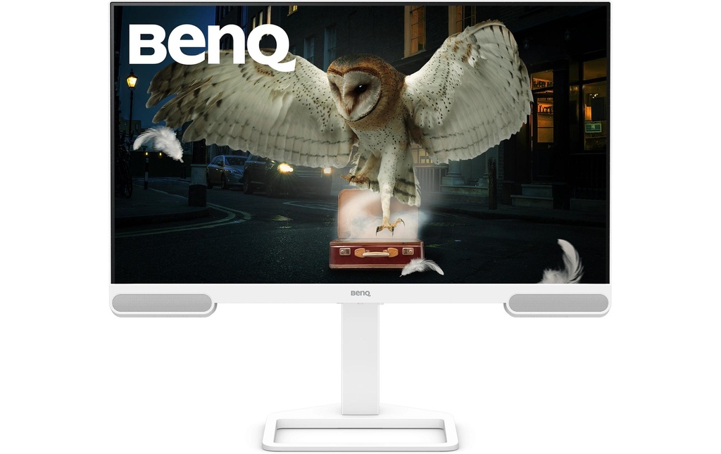 BenQ Moniteur EW3290U 31.2 , 3840 x 2160 (Ultra HD 4K)