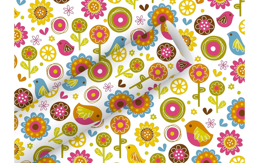 Braun + Company Papier cadeau Birdland 2 m x 70 cm, Multicolore