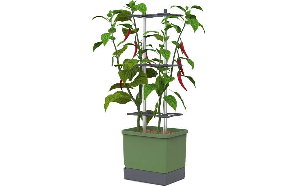 Gusta Garden Godets de culture Charly Chili XL Vert foncé