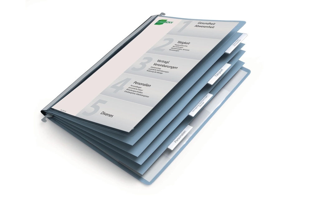 DURABLE Dossier individuel Bleu/Transparent