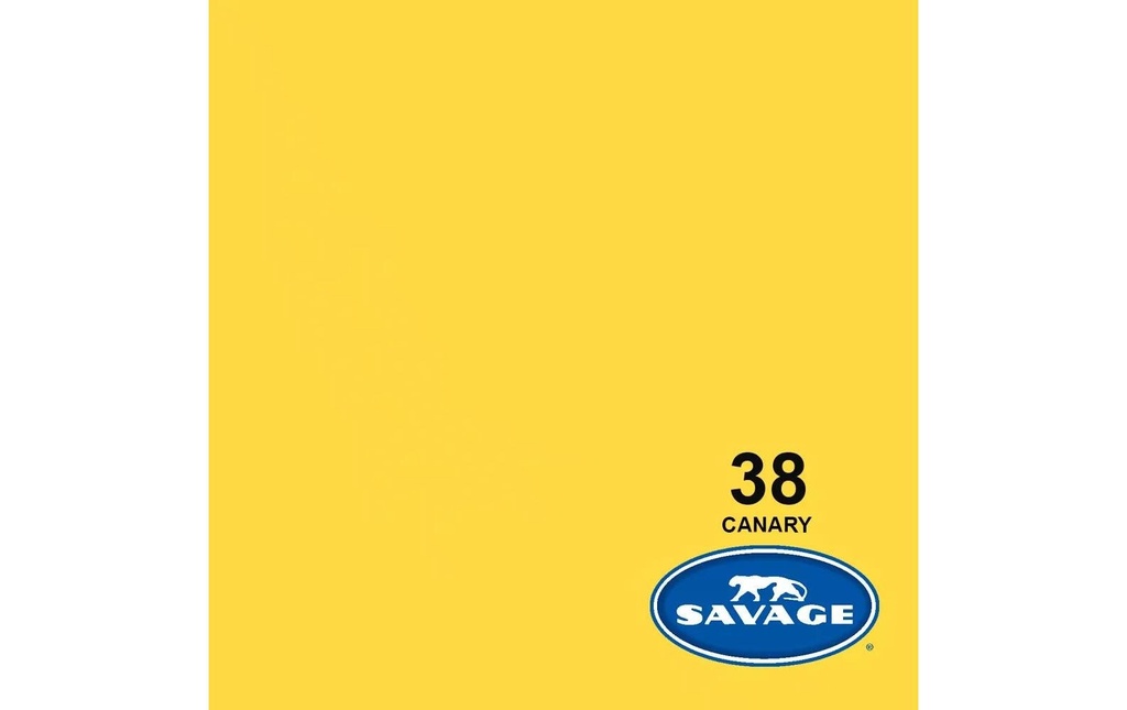 Savage Fond Papier 2.72 x 11m Canary