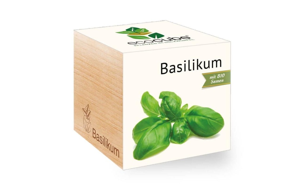 Feel Green Ecocube Basilic BIO