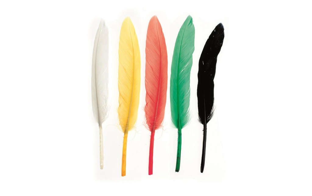 Glorex Plumes Indiens
