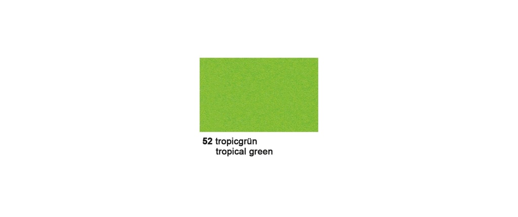 URSUS Papier cartonné 50 x 70 cm Vert tropical