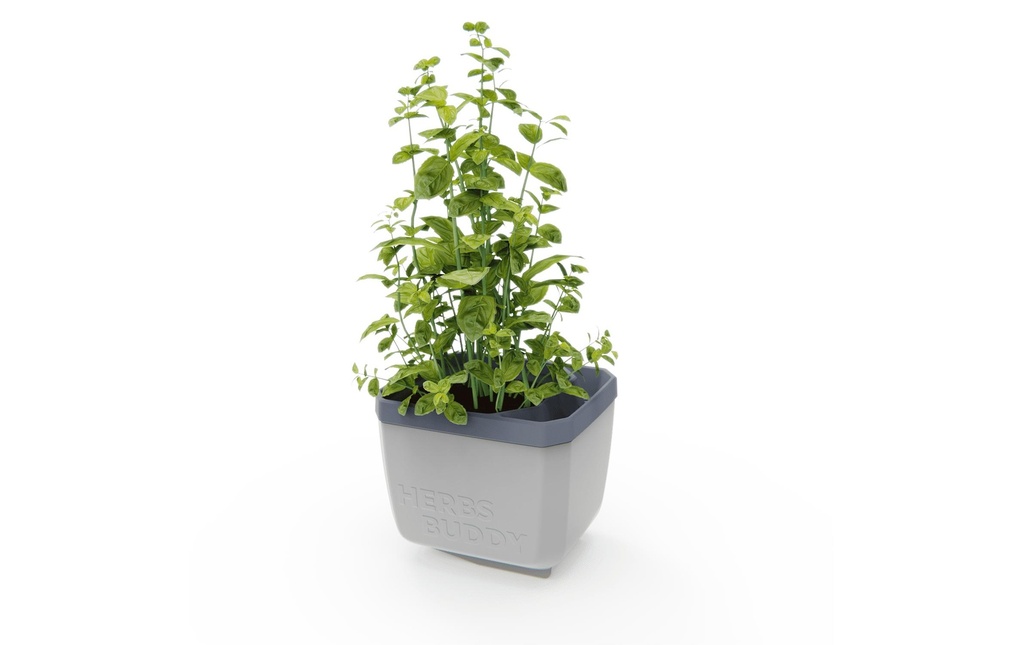 Gusta Garden HERBS BUDDY Pot d'herbes aromatiques Gris/Gris clair