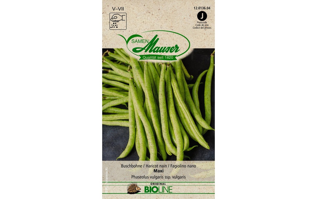 Samen Mauser Semence Haricot nain BIO Maxi