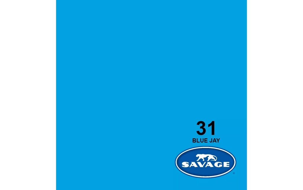 Savage Fond Papier 2.72 x 11m Blue Jay