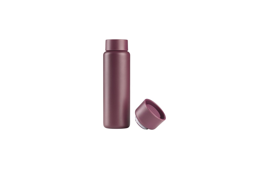 Zone Denmark Gourde Célibataires 400 ml, Mûre