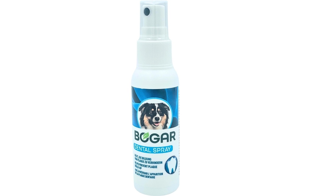 bogar Nettoyage des dents Dental Care Spray Chien, 50 ml