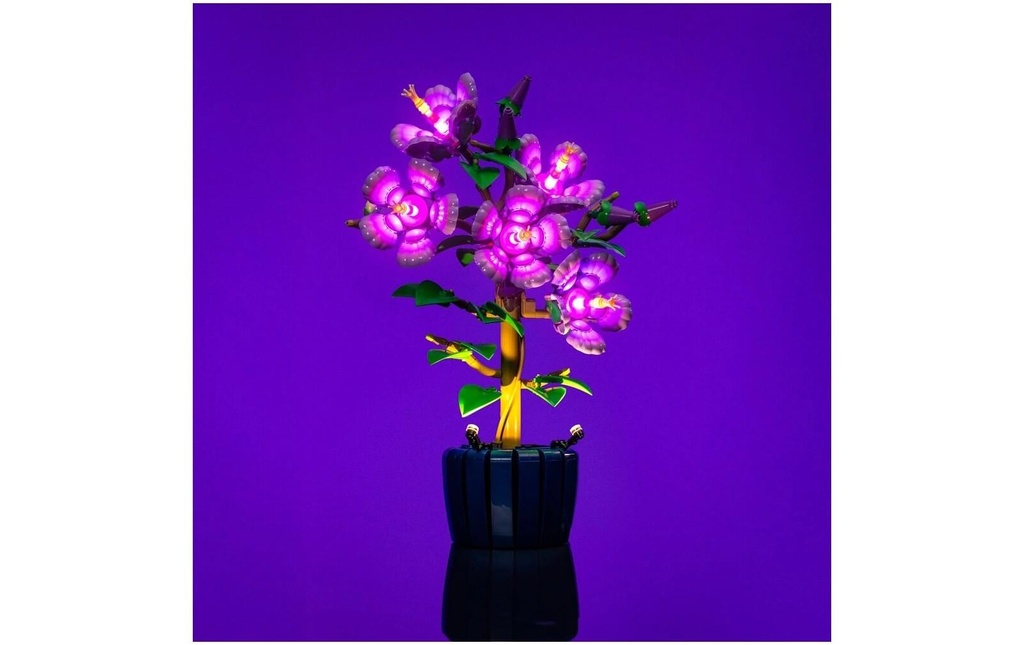 Light My Bricks Lumières-LED pour LEGO® 10372 Hibiscus